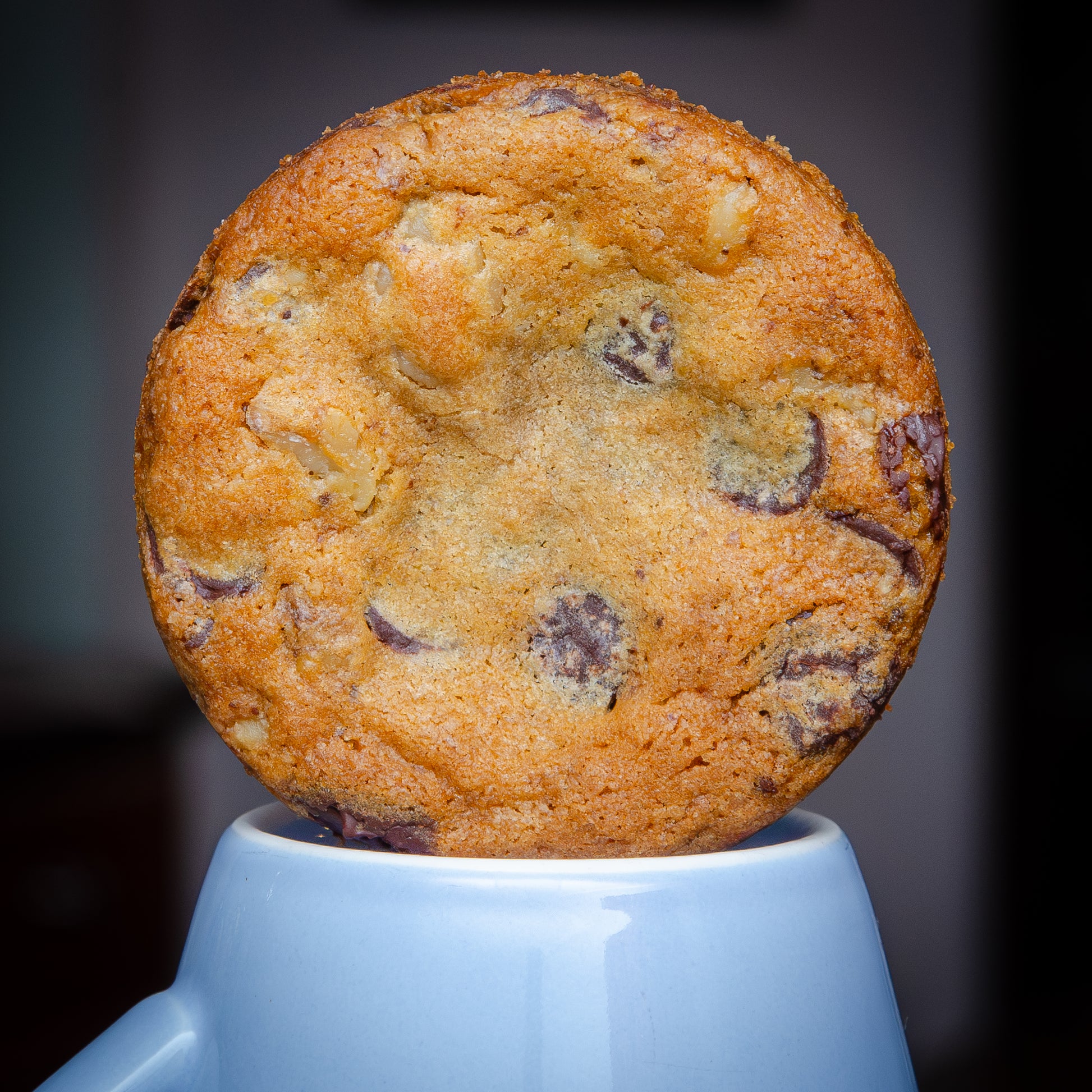 Chewy chocolate chip cookie