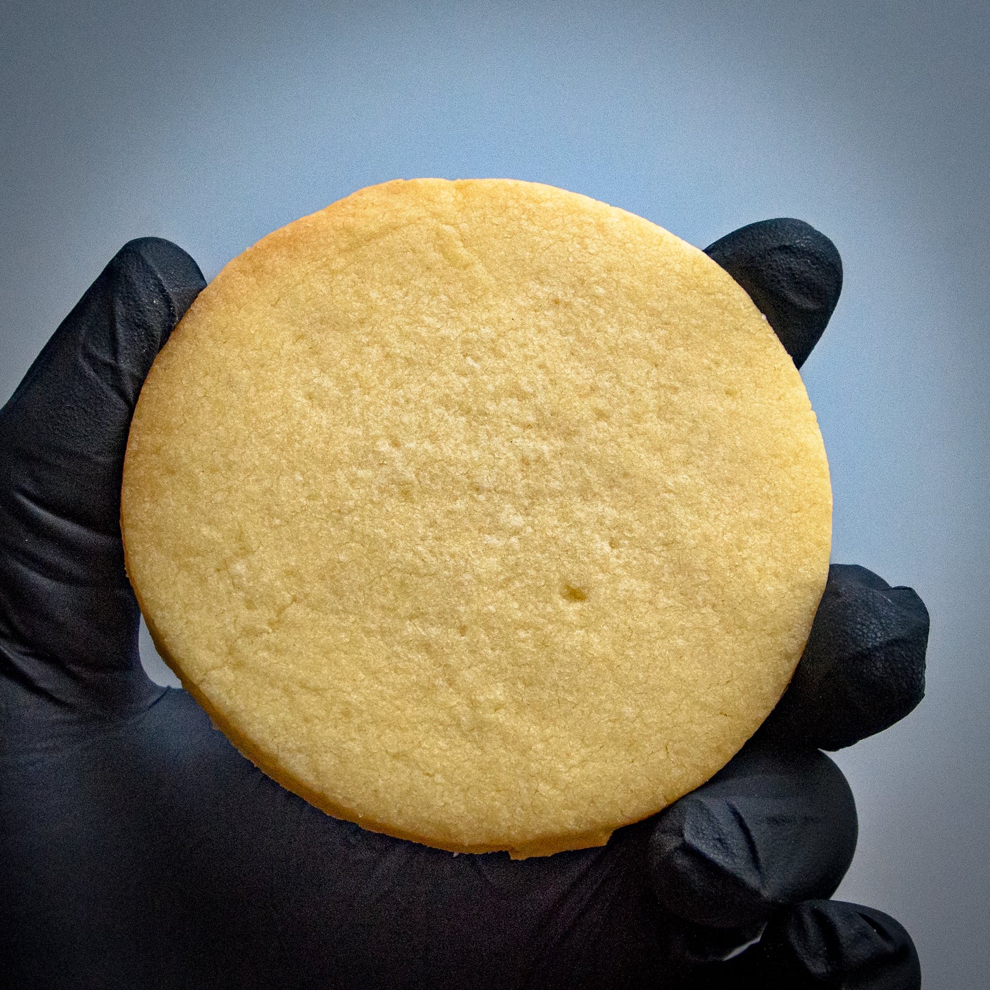 Round cookie held by a gloved hand against a gradient blue background